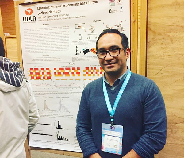Investigación Insectos