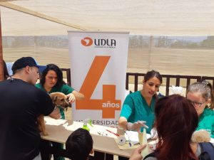Estudiantes de Medicina Veterinaria fueron parte de PetPelusa Viña 2019 2
