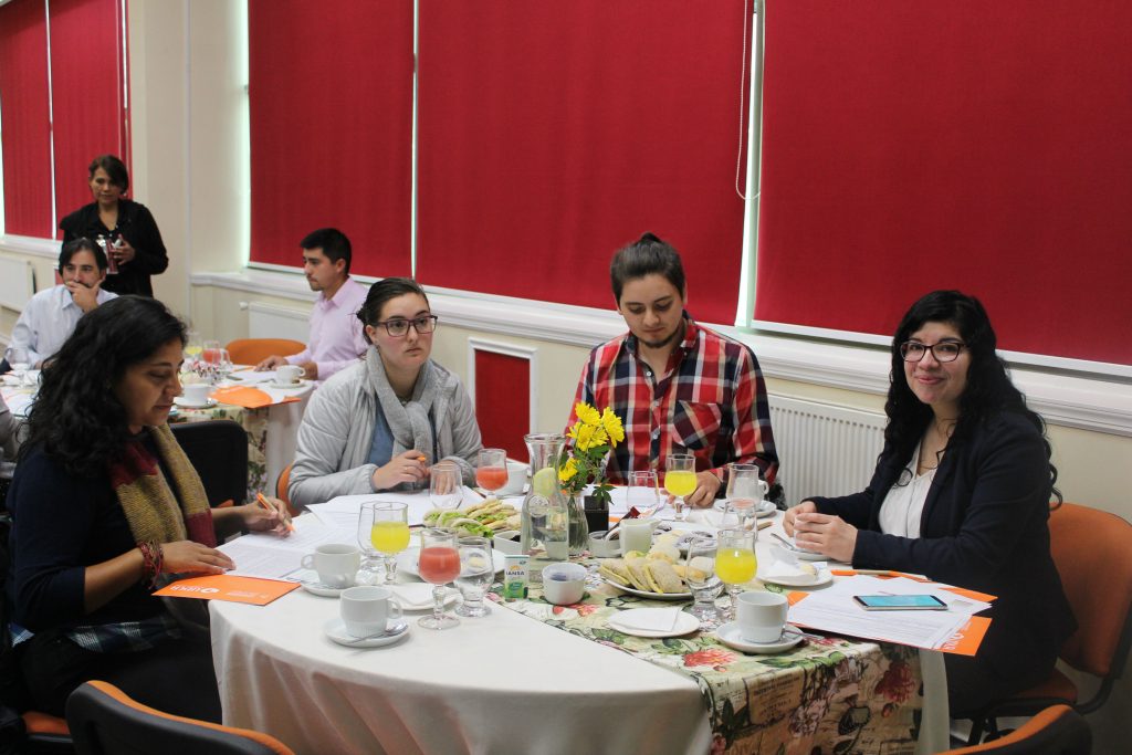 Terapia Ocupacional realizó jornada de comité curricular en Santiago Concepción y Viña del Mar