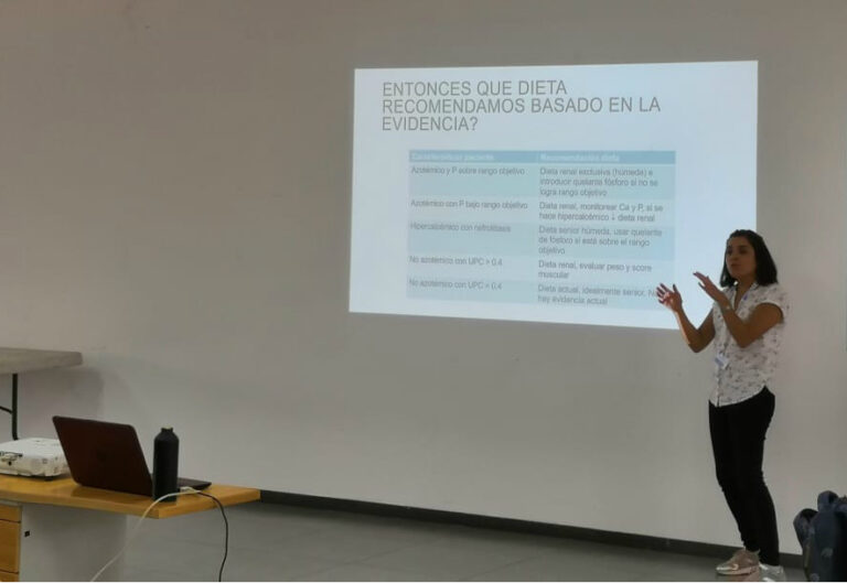 Académica de la Escuela de Medicina Veterinaria participó como docente en diplomado internacional de medicina interna de pequeños animales