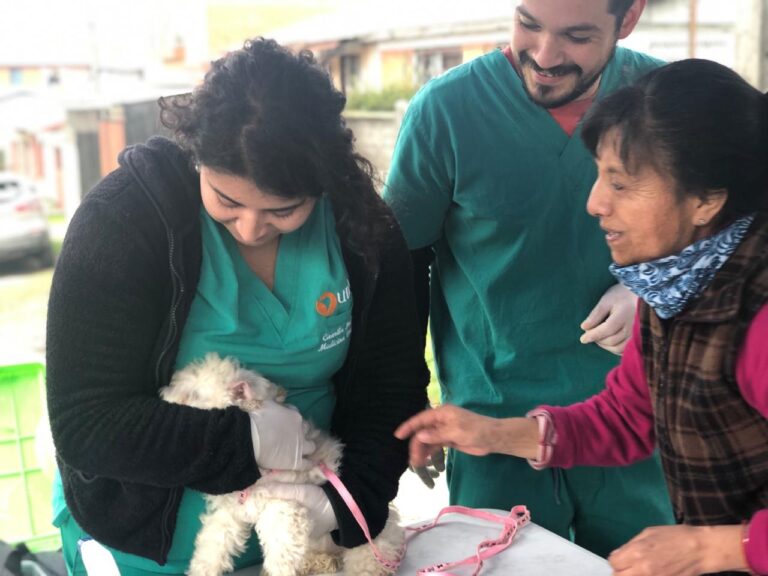 UDLA y Municipalidad de Concepción firmaron convenio para la realización de operativos veterinarios