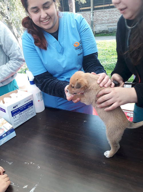 24 de octubre. Programa Operativos Ciudadanos: Operativo Multidisciplinario, comuna de Concón. Organizan: Programa de Intervención Comunitaria y Dirección General de Vinculación con el Medio