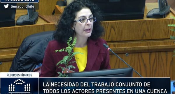 Académica de Sede Viña del Mar expuso en la Comisión de Recursos Hídricos, Desertificación y Sequía del Senado