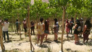 Alumnos de último año de Agronomía y Técnico en Agroviticultura y Enología realizaron gira al norte de Chile