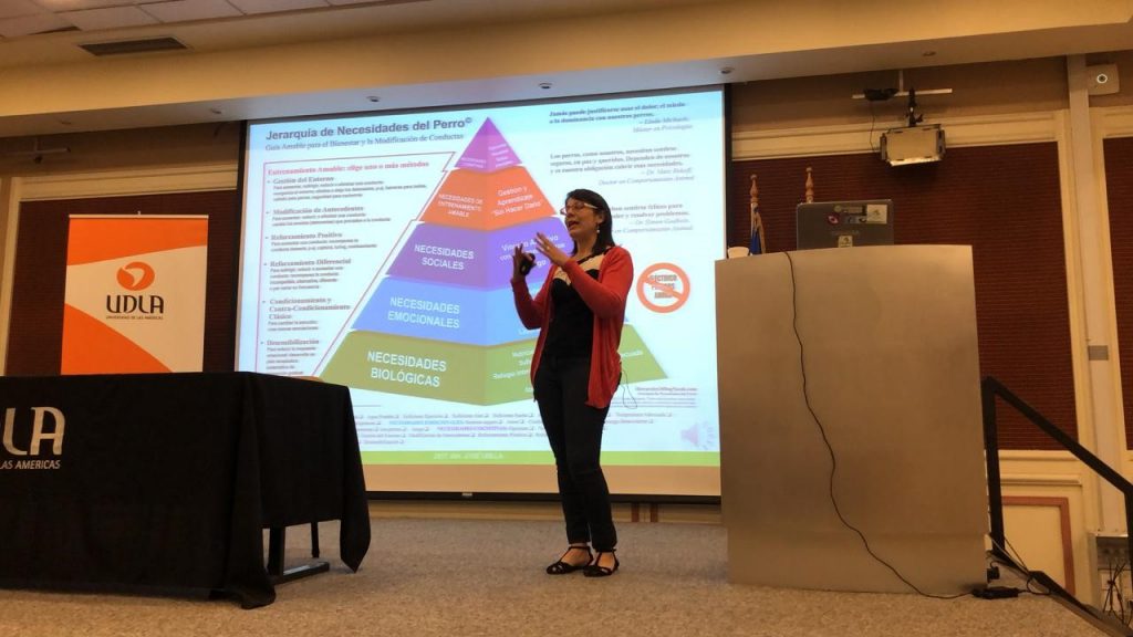 Estudiantes de quinto año de Medicina Veterinaria asistieron a ciclo de charlas en Campus Santiago Centro