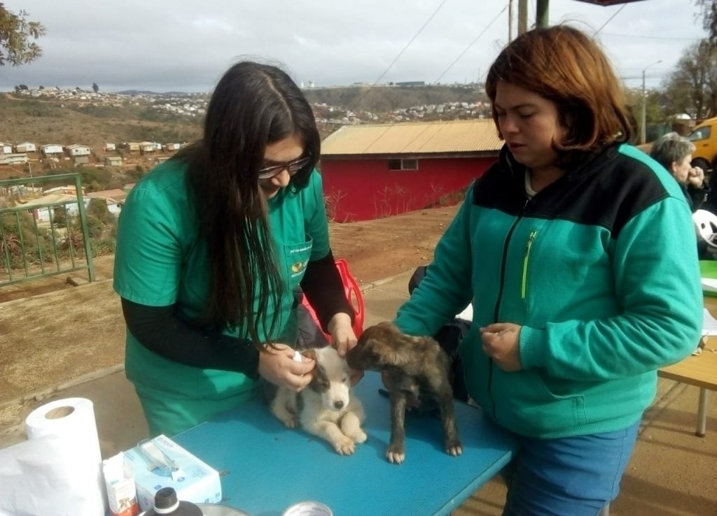 Campus Los Castaños inició operativos multidisciplinarios 2019 en el sector de Forestal Alto