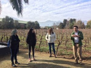 Estudiantes de Traducción e Interpretación en Inglés realizaron visita académica a Viña Veramonte