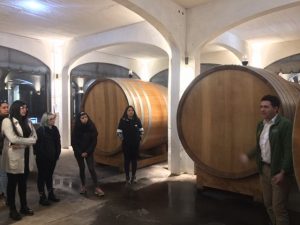 Estudiantes de Traducción e Interpretación en Inglés realizaron visita académica a Viña Veramonte