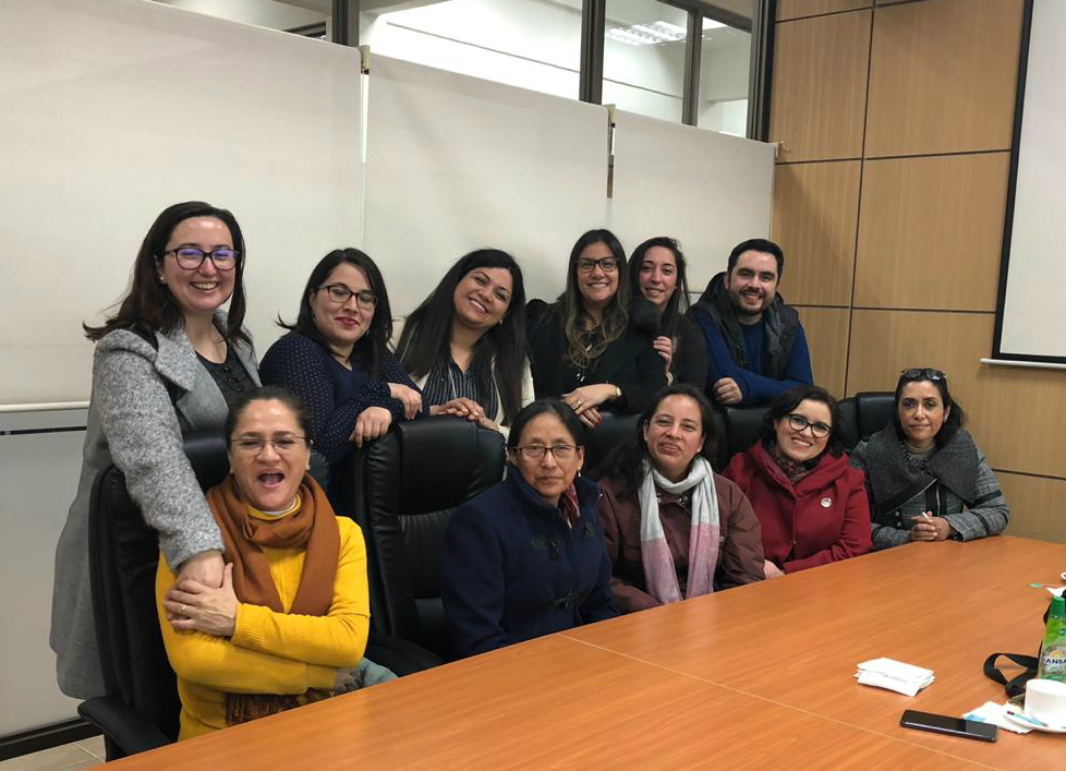 Enfermeras de la Universidad Central del Ecuador intercambiaron conocimientos con académicos de la Sede Concepción