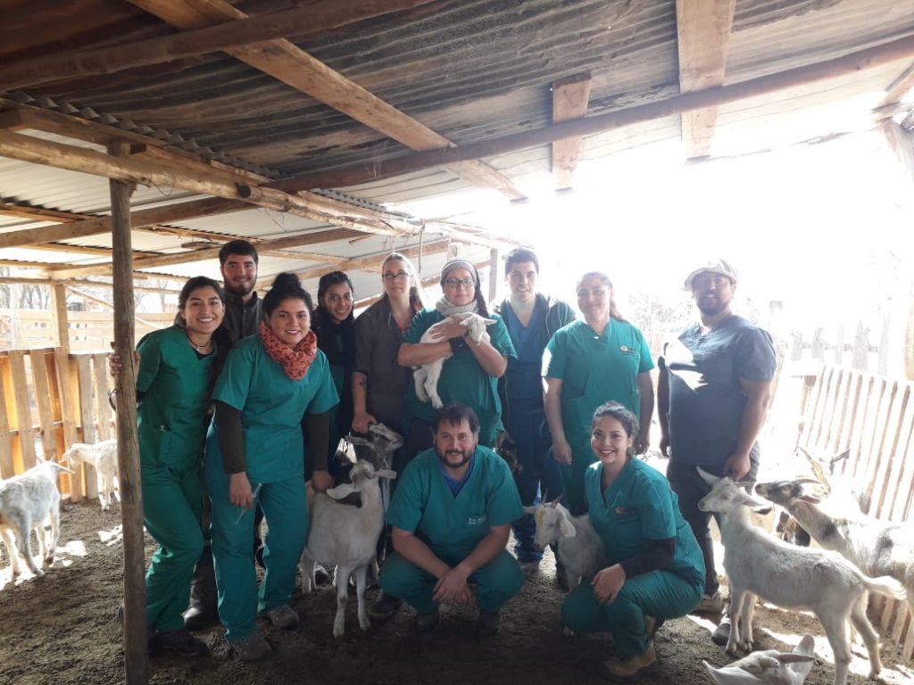 42 operativos en la Región Metropolitana realizó la Escuela de Medicina Veterinaria  durante el primer semestre