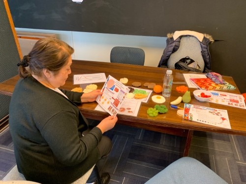 Estudiantes de la Escuela de Nutrición y Dietética promueven hábitos y estilos de vida saludables