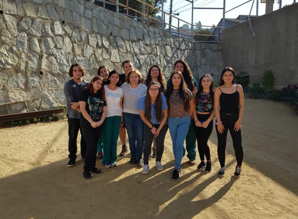 Escuela de Medicina Veterinaria colabora en atención de animales heridos en incendio de Valparaíso