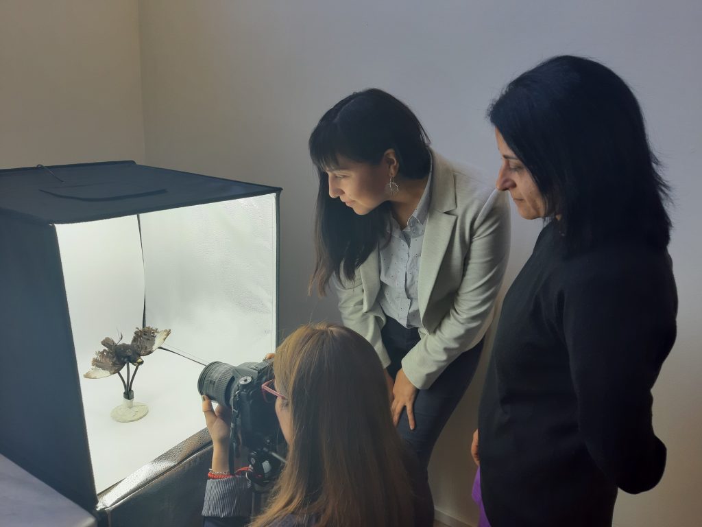 Estudiantes de UDLA realizan levantamiento digital tridimensional de piezas patrimoniales del Museo de Historia Natural de Valparaíso