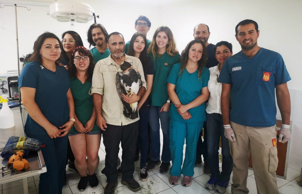 Estudiantes de la Escuela de Medicina Veterinaria participan en capacitación en aves rapaces